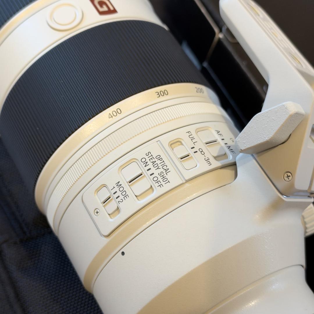 【SONY】FE 100-400mm F4.5-5.6 GM OSS 美品