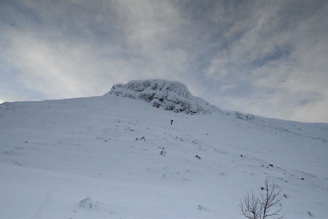 【値下げ】Nikon Z 5 ニコン 24‐50 K レンズキット