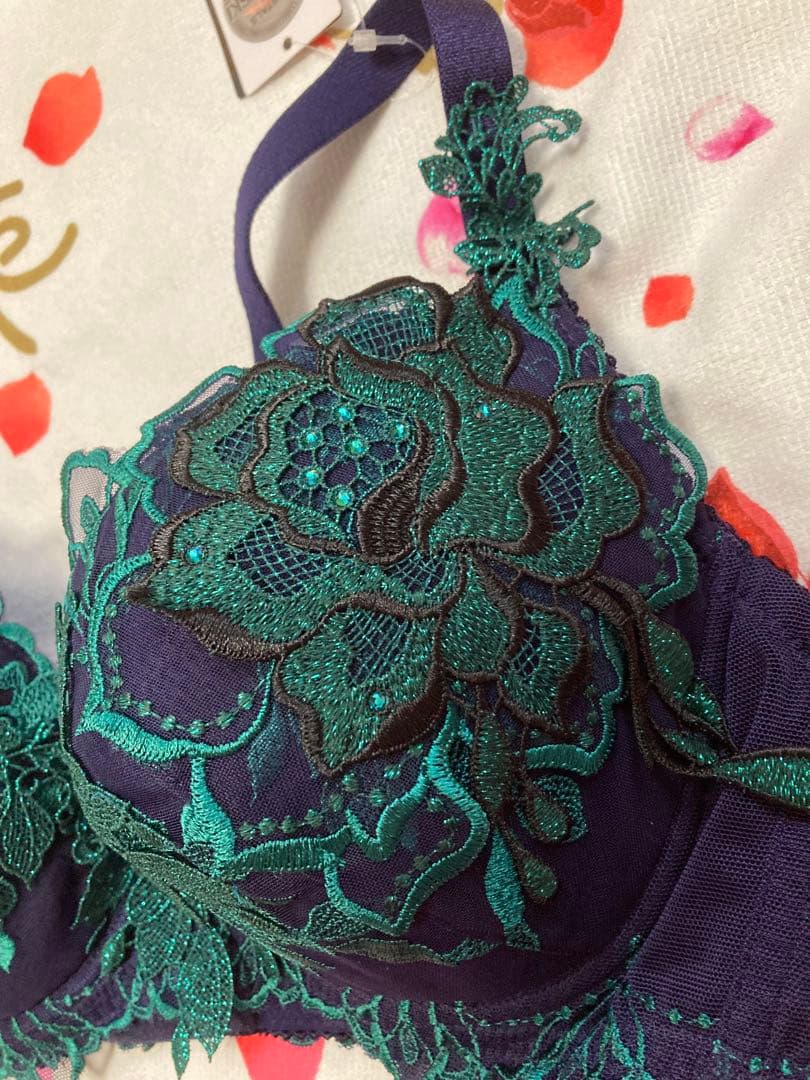 Salute 34G ブラジャーショーツセット E80 LL ゼウス