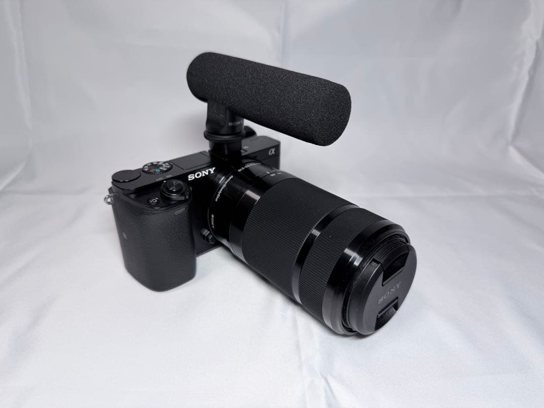 SONY α6000 フルセット［運動会やお遊戯会の撮影に］