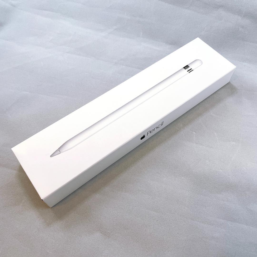 Apple iPad シルバー 本体とApple Pencilとケース（おまけ）