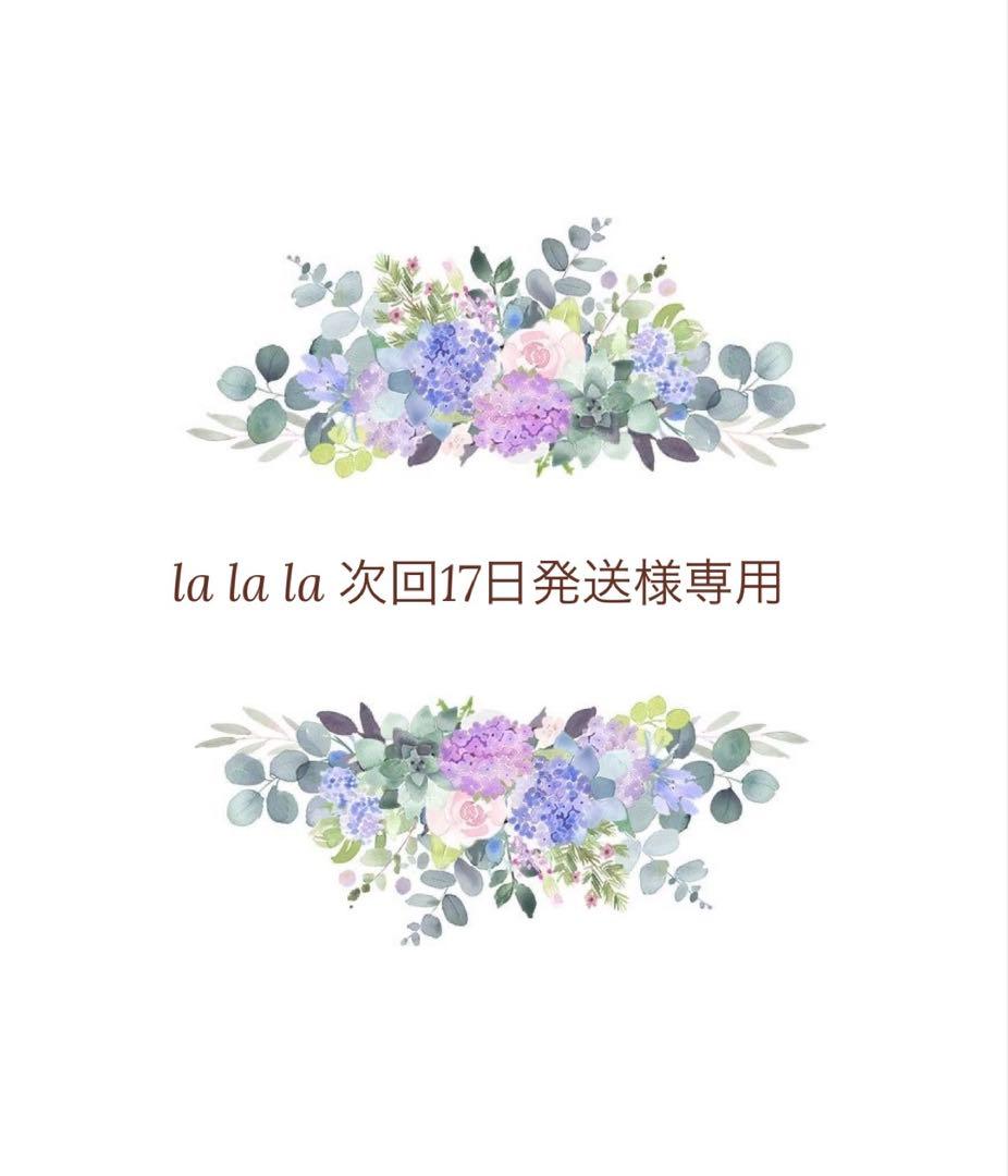 Pampers たっちM 74枚×6パック