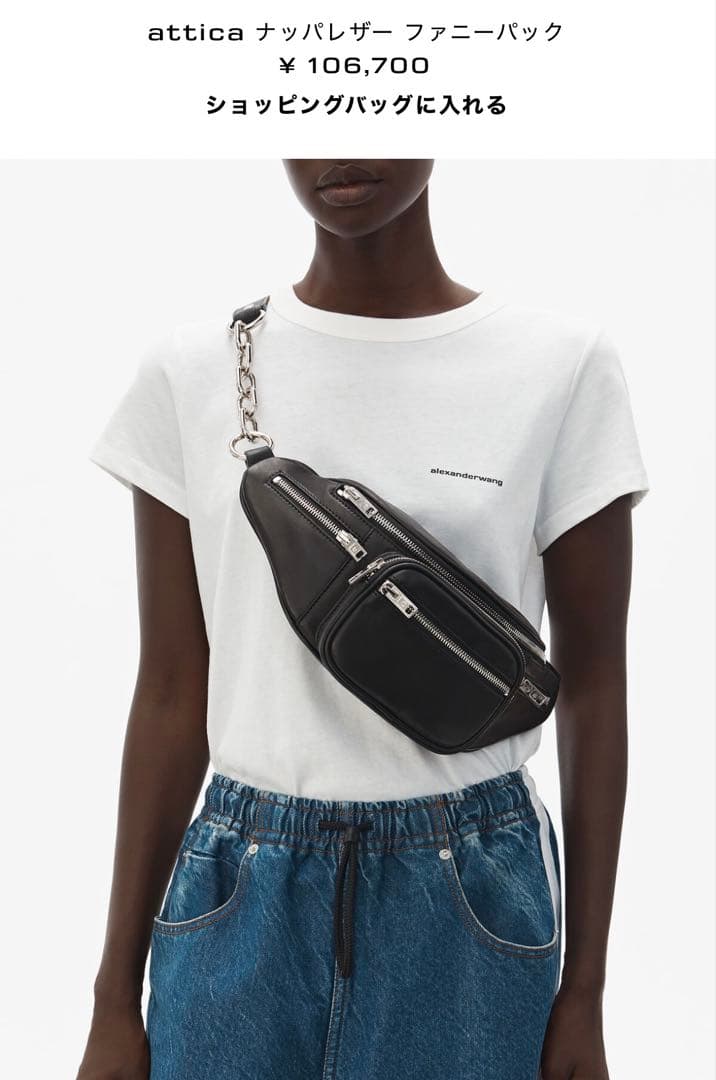 美品！アレキサンダーワン ウエストポーチ