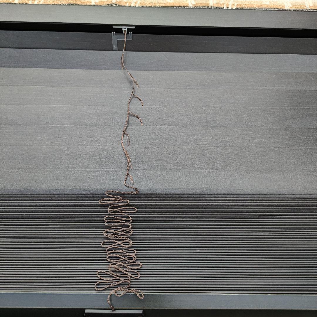 トーソーブラインド ベネウッド50 TOSO 木製ブラインド 2枚セット