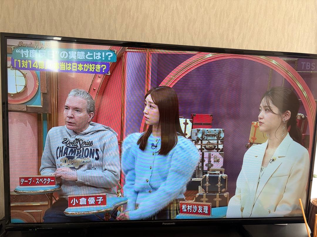 Panasonic VIERA ビエラ　42型　TH-42C305