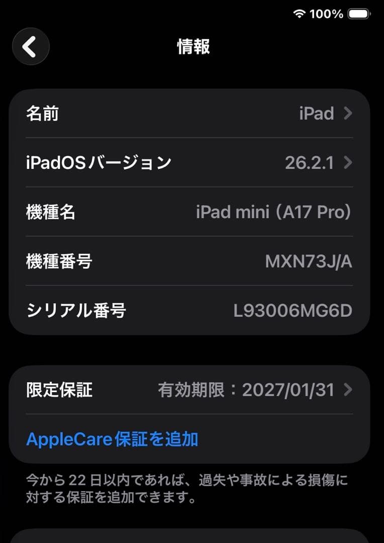 iPad mini (第7世代) ブルー　128GB 充放電回数3回