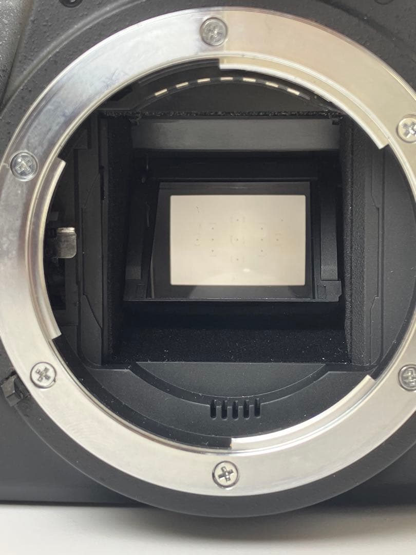 【返品保証・動作確認済】Nikon D3100 ダブルズームレンズキット