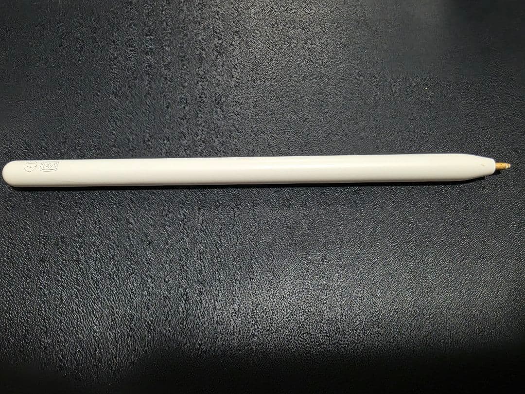 Apple iPad pro M1 12.9 本体 + Apple Pencil