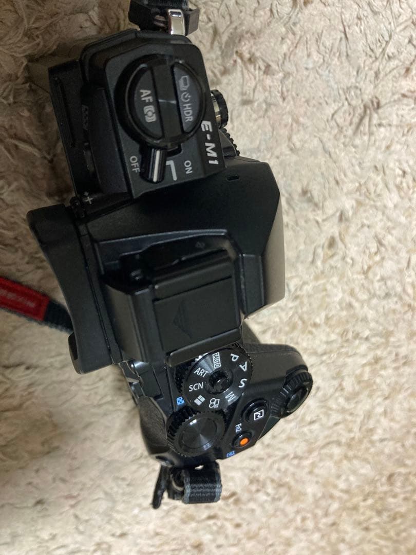 ショット6956回　単焦点　レンズセット　OLYMPUS OM-D E-M1