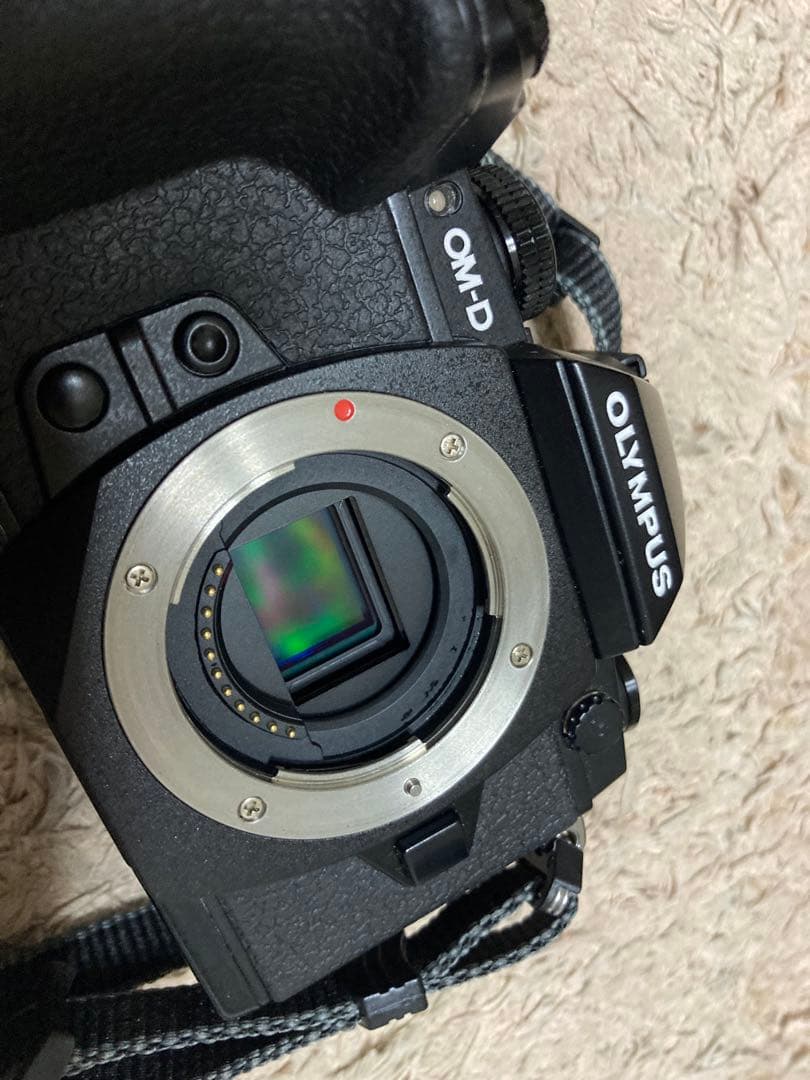 ショット6956回　単焦点　レンズセット　OLYMPUS OM-D E-M1