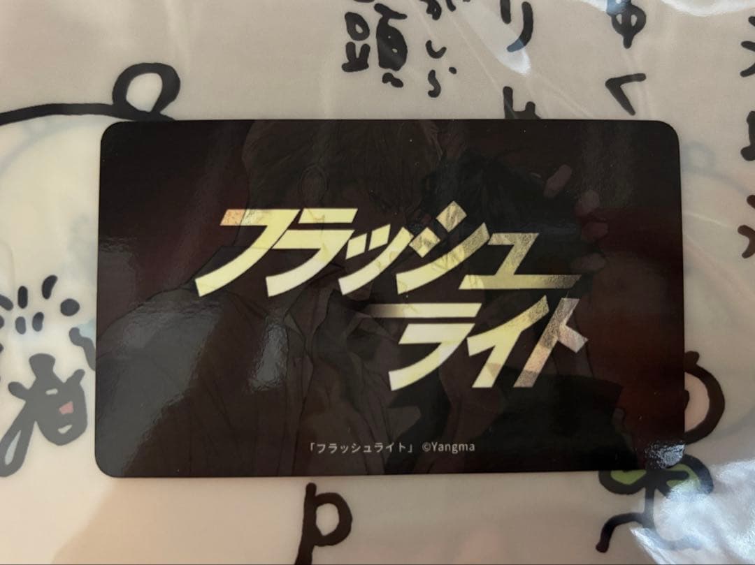 Beltoon　ベルトゥーン 　J庭58　フラッシュライト　トレカ