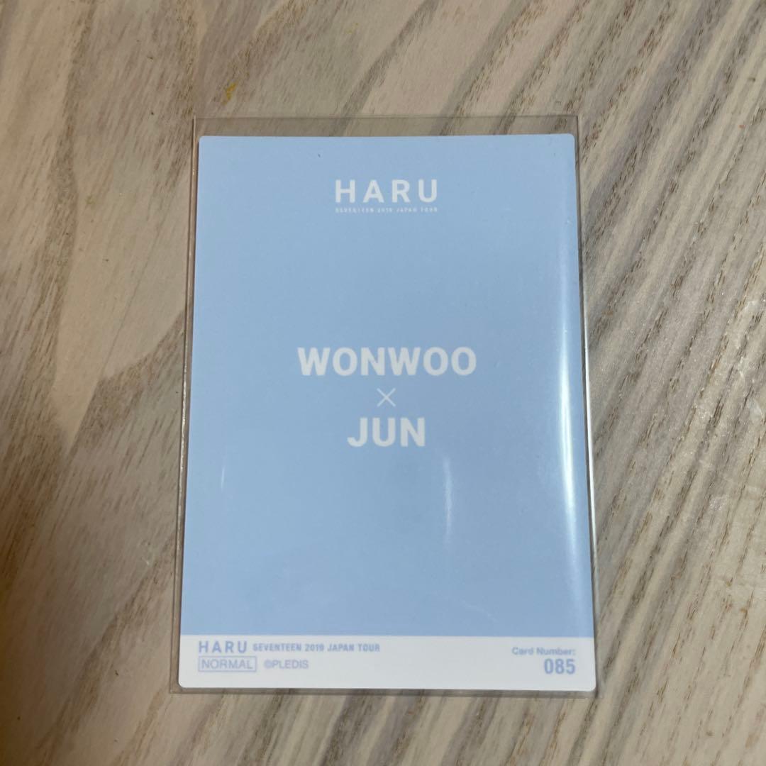 【美品】SEVENTEEN セブチ HARU ウォヌ ジュン ペア トレカ