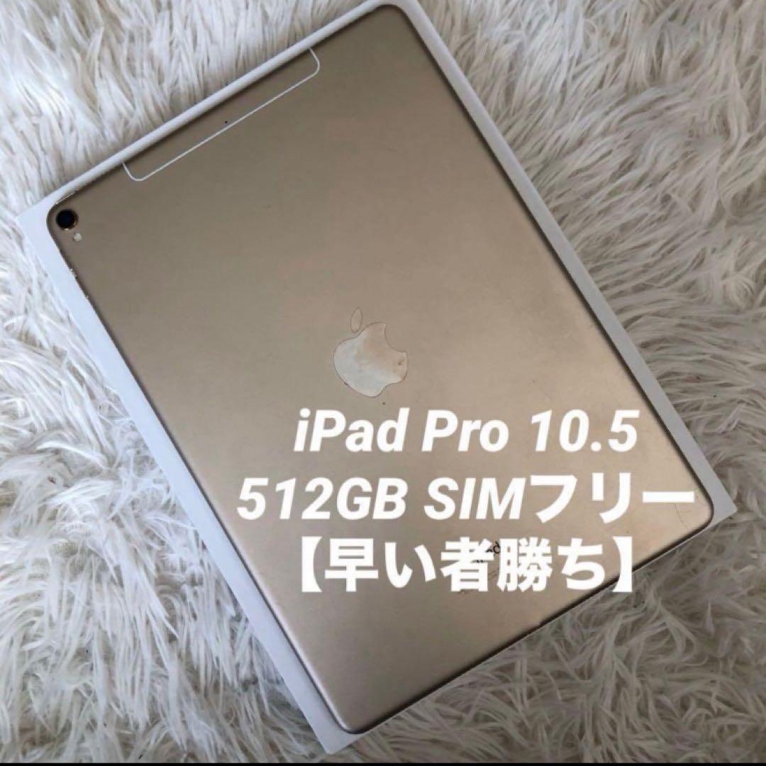 【格安】iPad Pro 10.5 512GB SIMフリー 【すぐ発送】