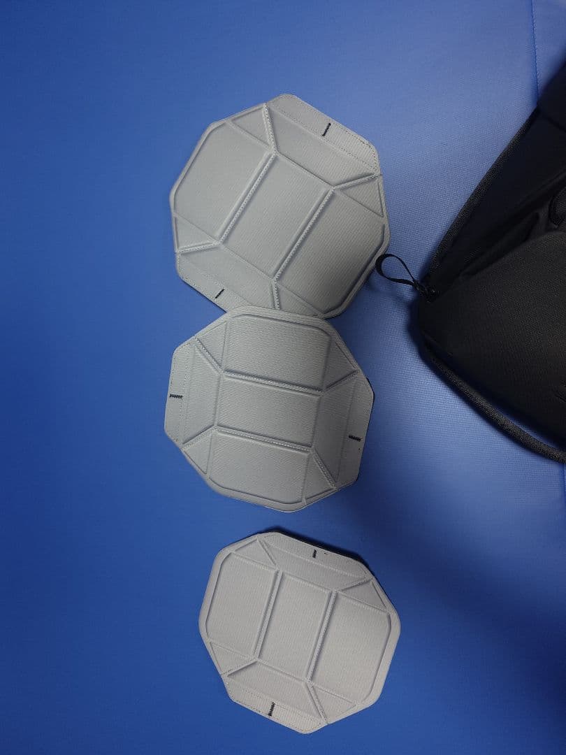 PEAK DESIGN エブリデイ バックパック 20L BEDB-20-BK