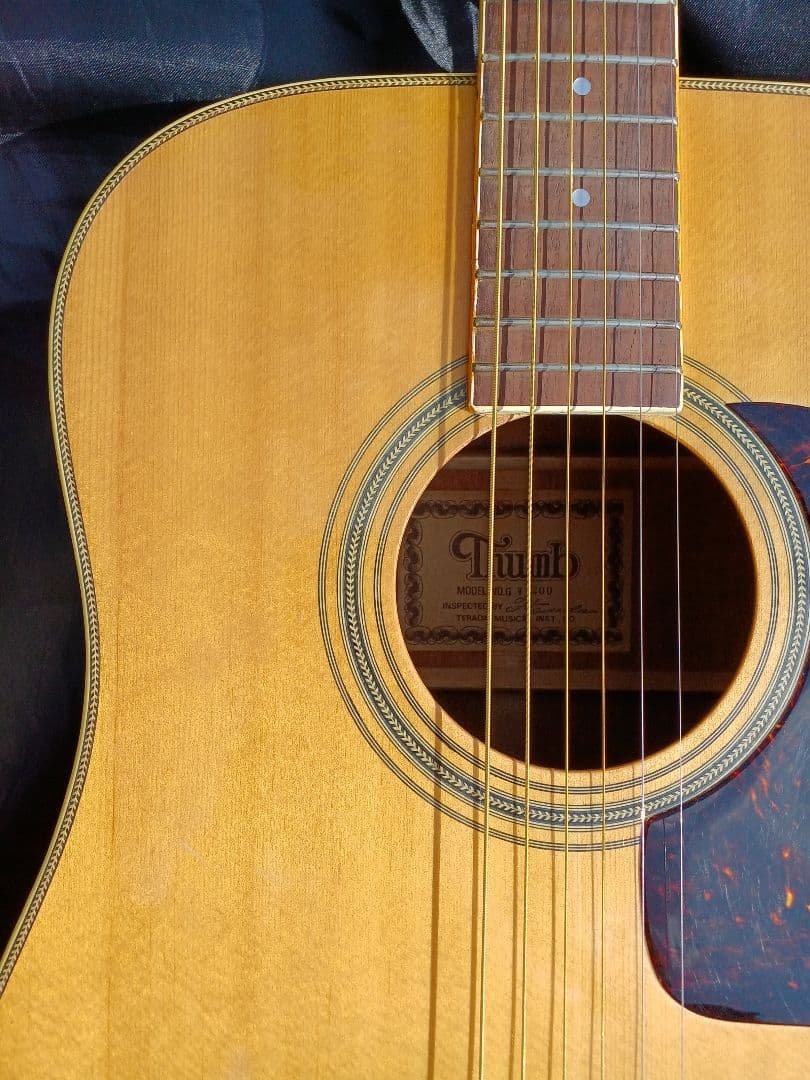 【送料込】サム　Thumb　寺田楽器　ギャラガーヘッド　整備済