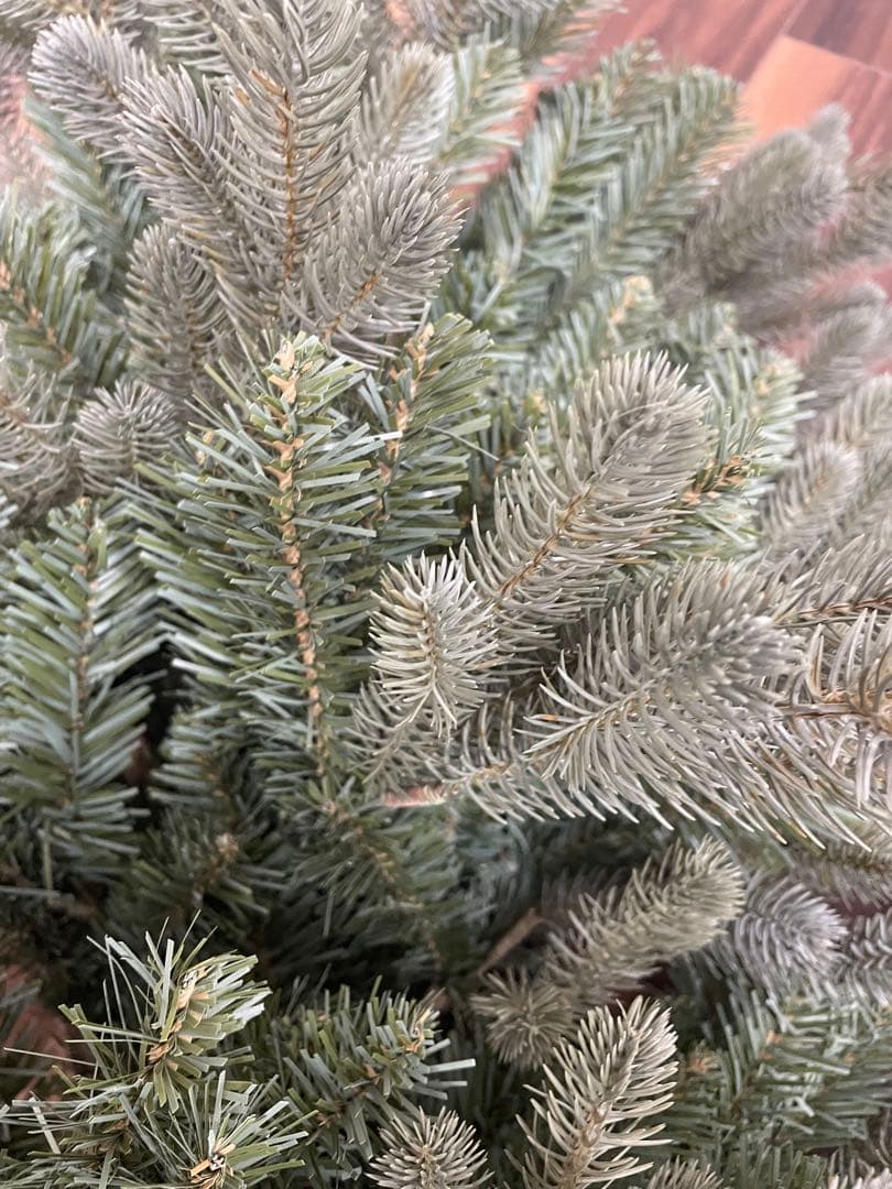 週末セール　東京堂　190cm　コーナーツリー　クリスマスツリー