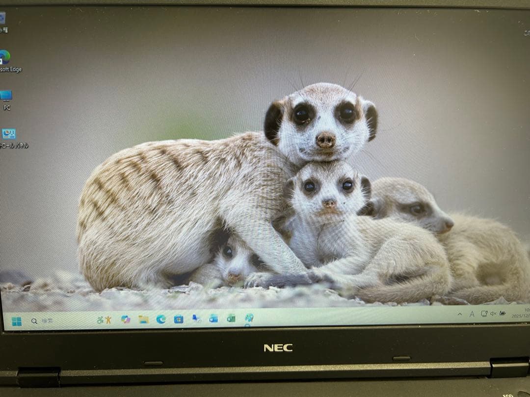 NEC VersaPro ノートPC-VK16EXZDT