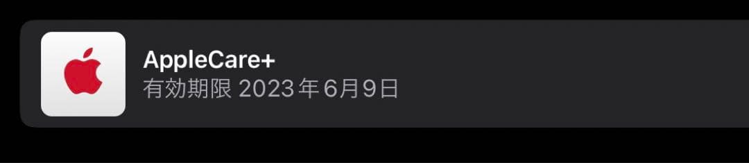 【極美品】iPad Pro 11インチ SIM 512GB