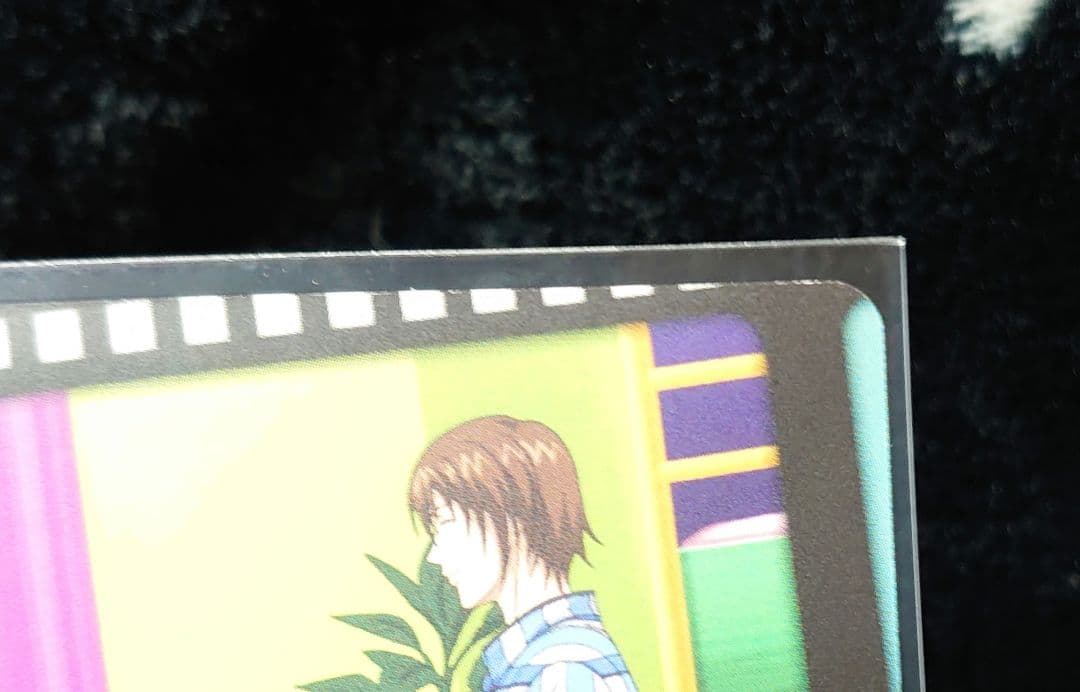 テニスの王子様 トレカ 書店の王子様 植物組