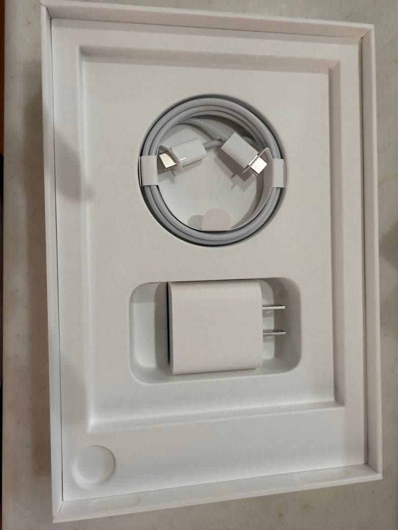 iPad mini 6 256GB Cellular Apple Pencil付