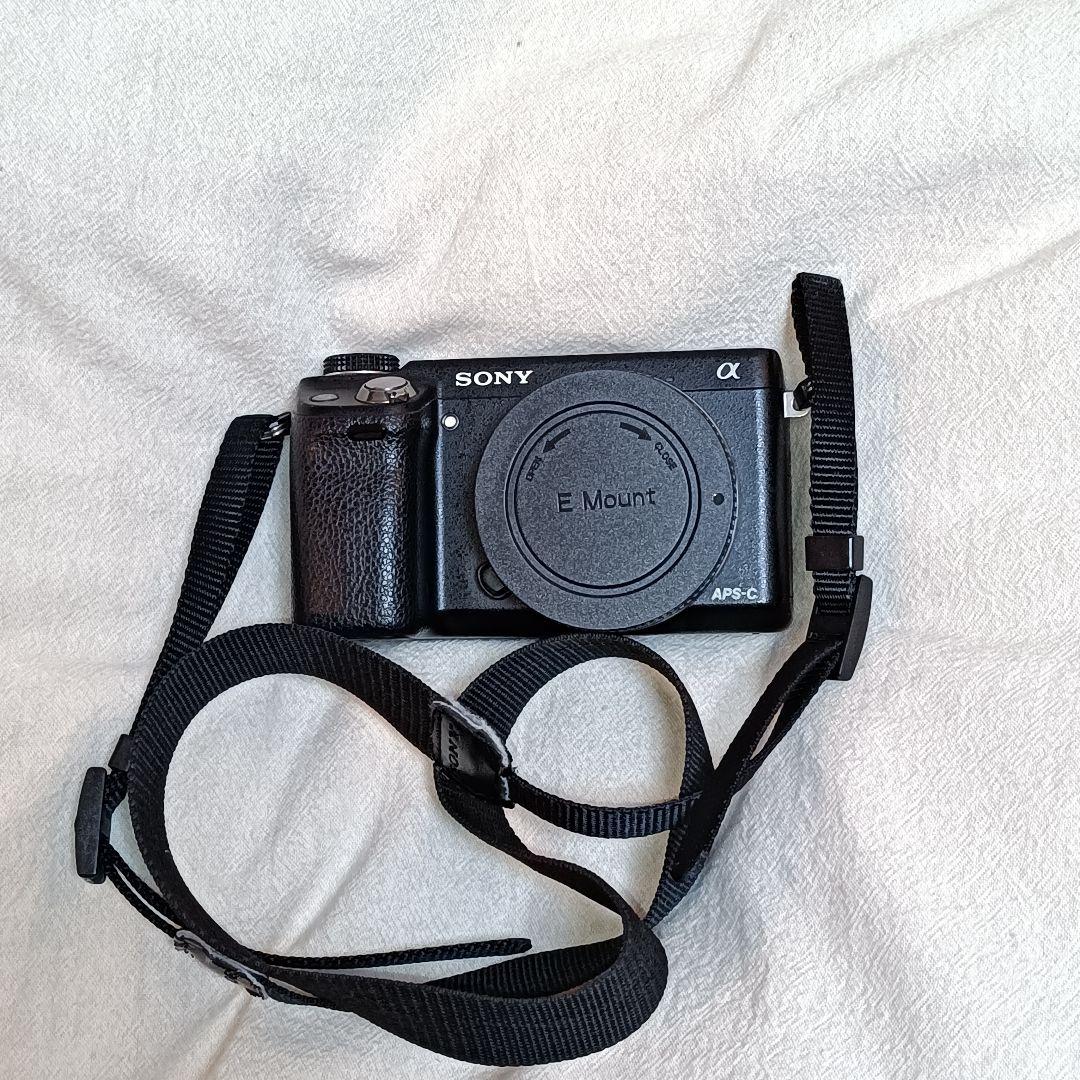 SONY α NEX-6 ミラーレス一眼 APS-C