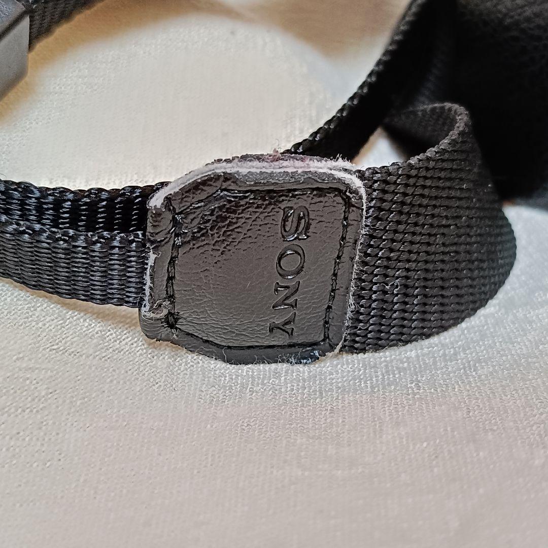 SONY α NEX-6 ミラーレス一眼 APS-C