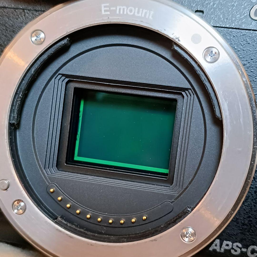 SONY α NEX-6 ミラーレス一眼 APS-C