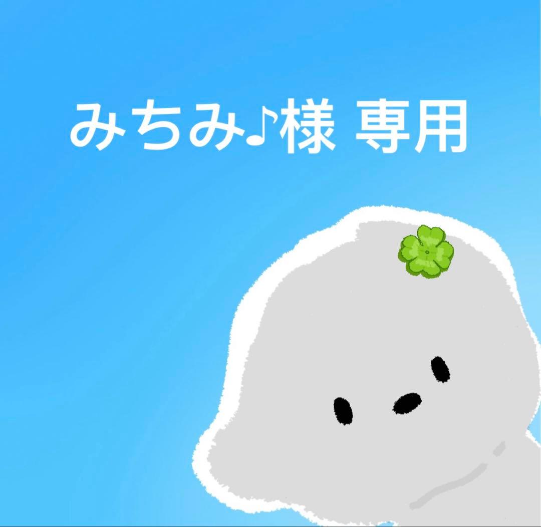 みちみ♪ 翌日出荷