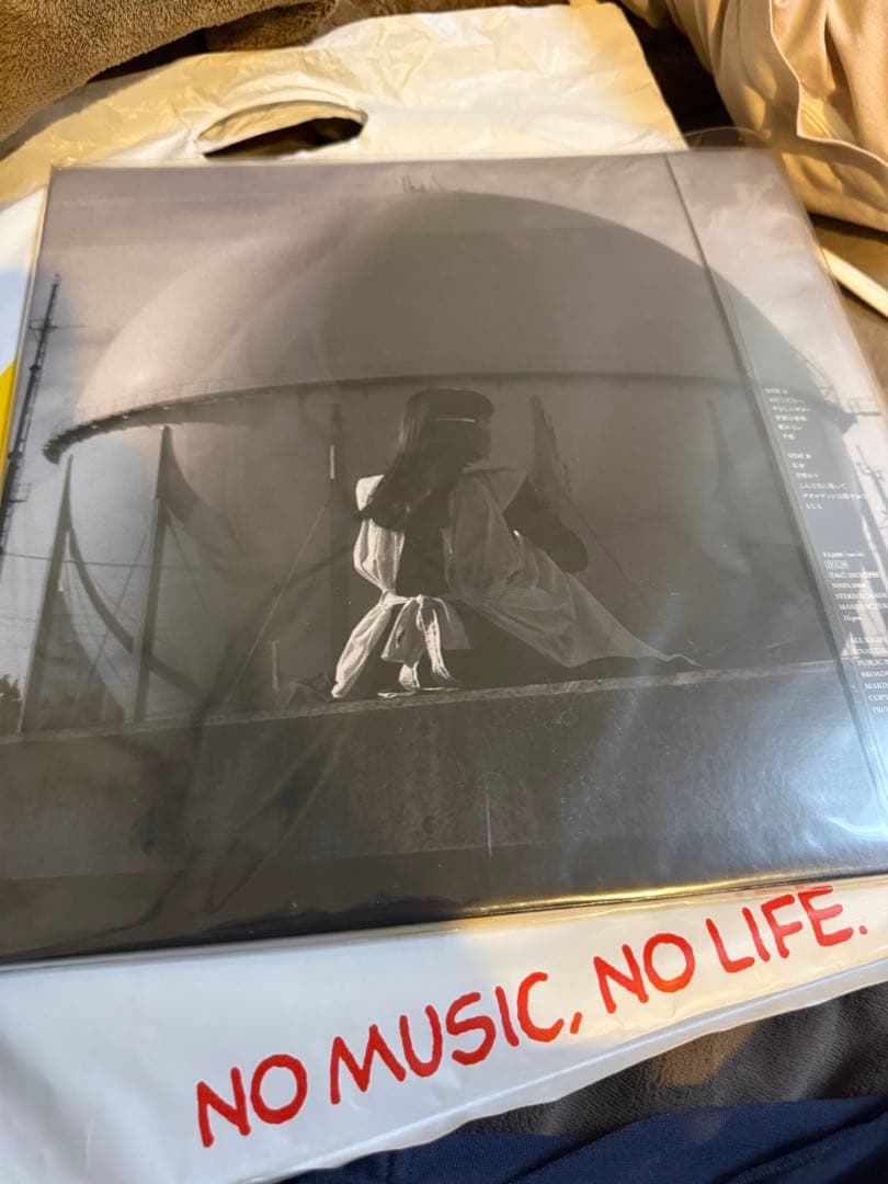 カネコアヤノ　タオルケットは穏やかな　レコード　LP