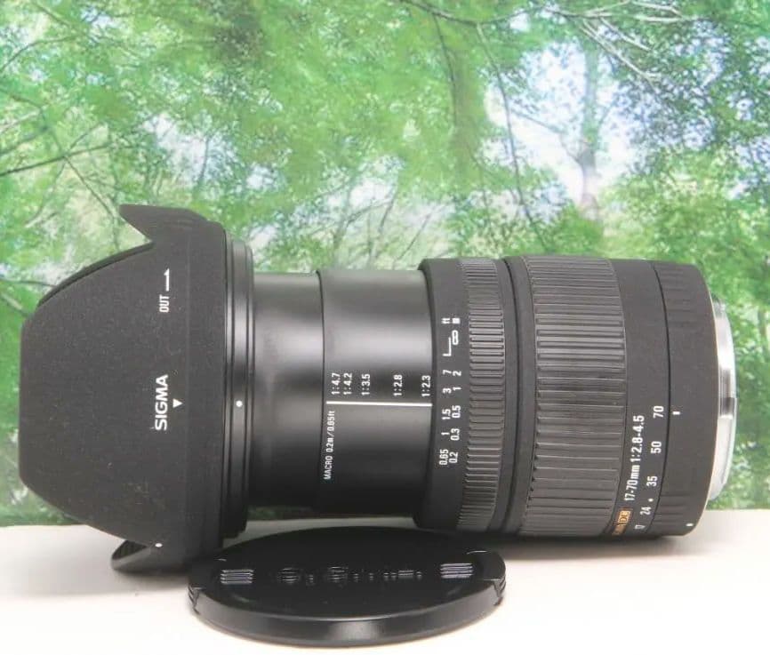 ❤️大評判神レンズ♪SIGMA 17-70mm f2.8-4.5 キヤノン用❤️