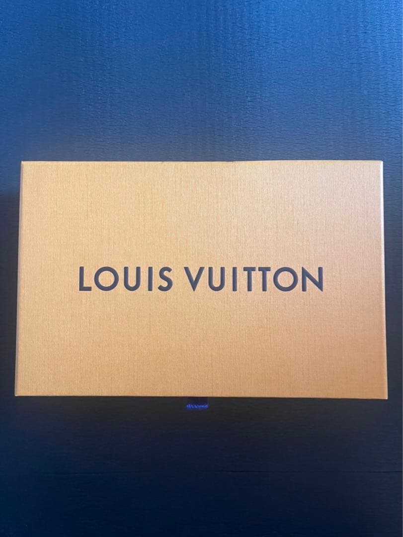 領域展開　　ルイヴィトン LOUIS VUITTON 長財布・箱付属品付