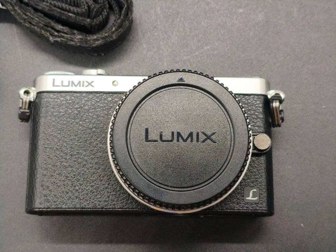 LUMIX DCM-GM1 シルバー Panasonic