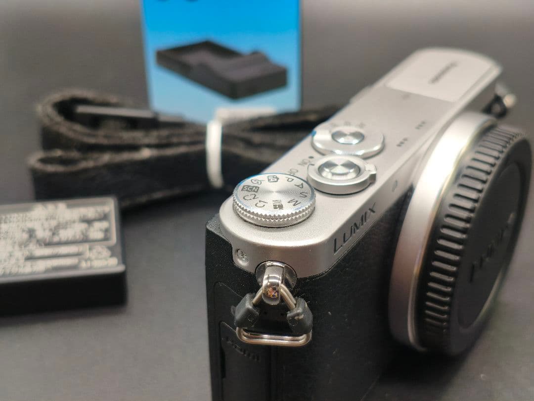 LUMIX DCM-GM1 シルバー Panasonic