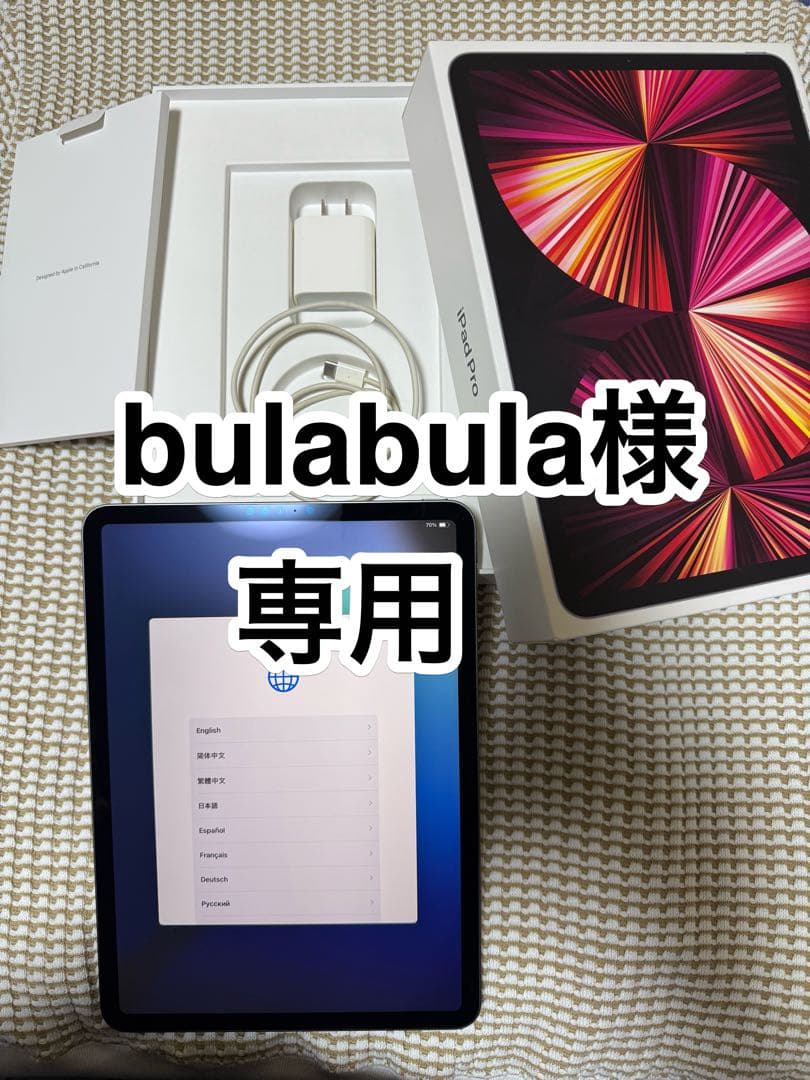 bulabula Apple iPad Pro スペースグレー 本体