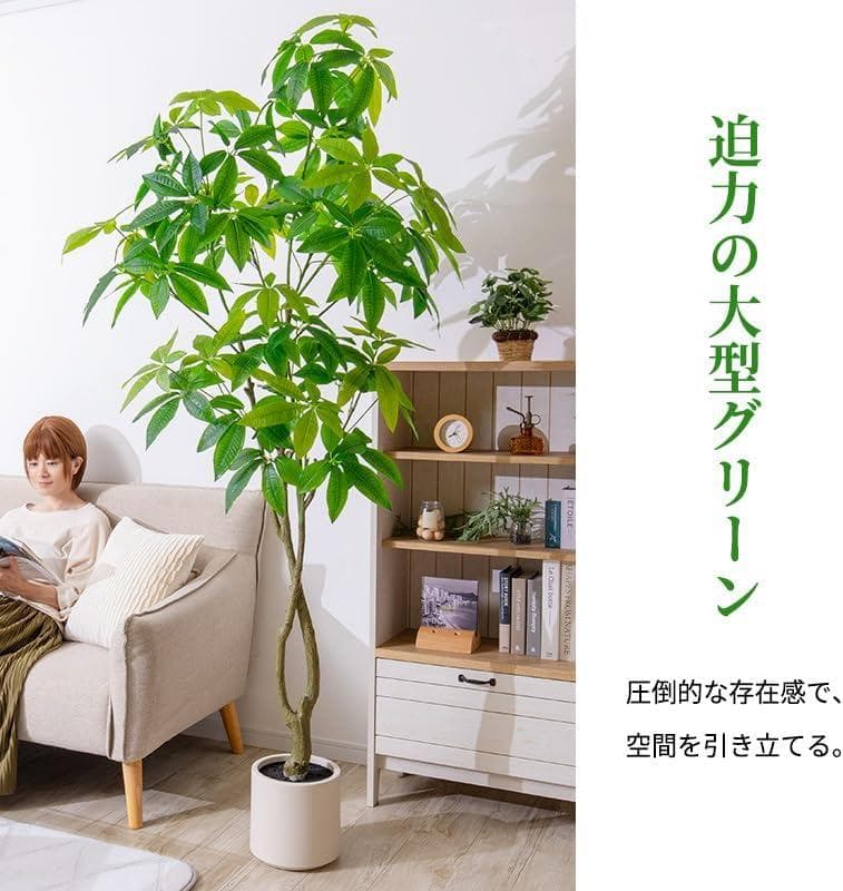 新品 三栄コーポレーション 光触媒 パキラ フェイクグリーン 約195cm
