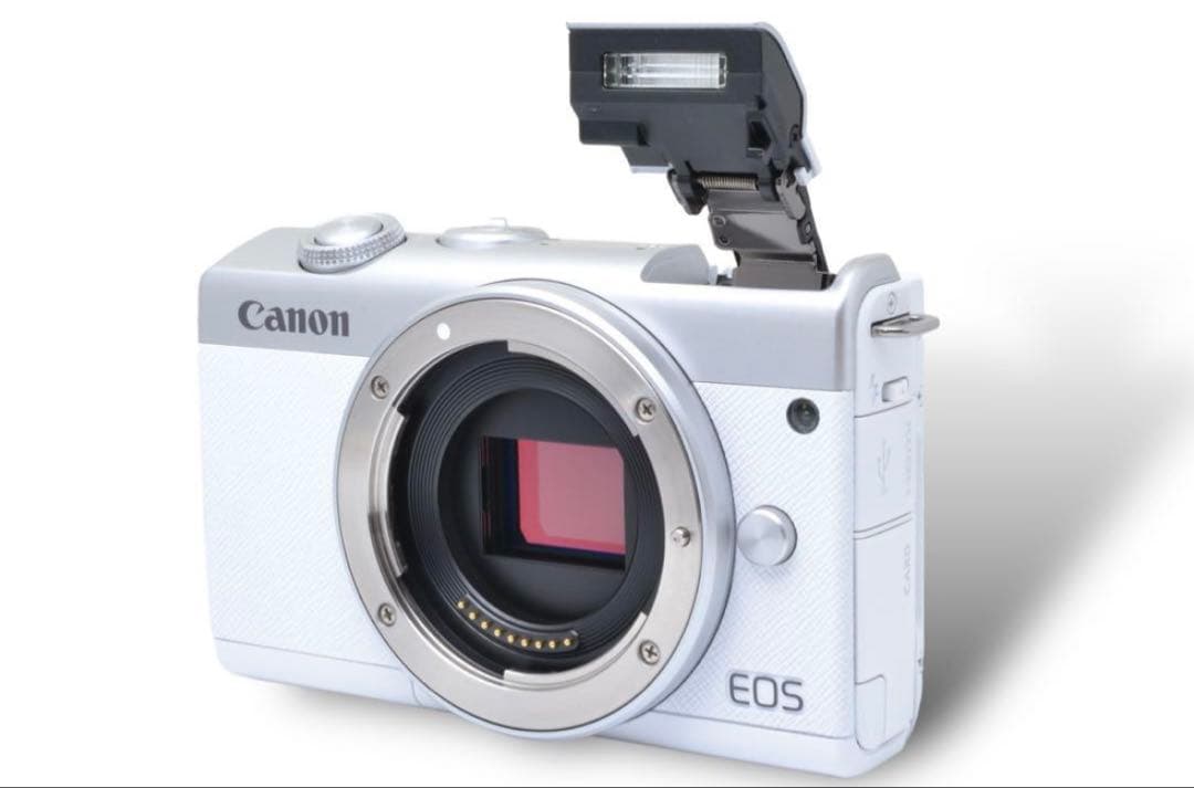 4K動画撮影◎Canon EOS M200 レンズキット/自撮り/一眼レフ