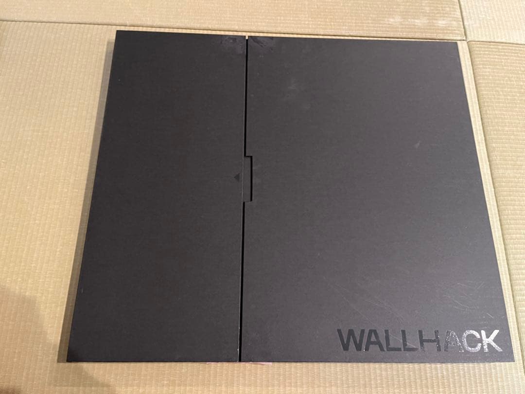 wallhack frenzy sora sp-004 ガラスパッド