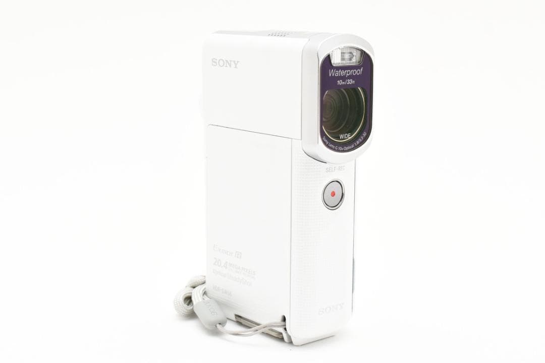 ソニー SONY ハンディカム HANDYCAM HDR-GW66V(W)付属品