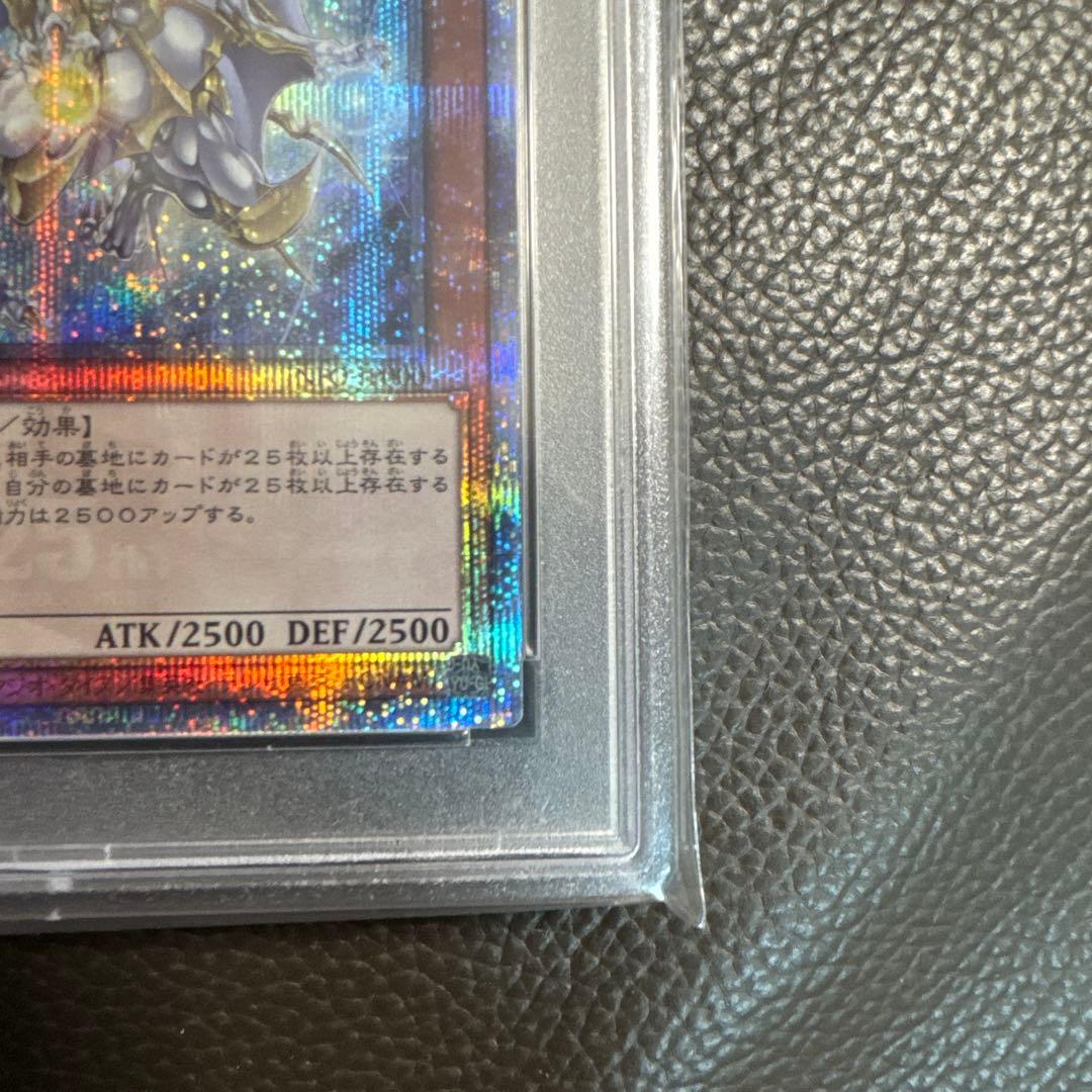 誇りと魂の龍 (psa10)