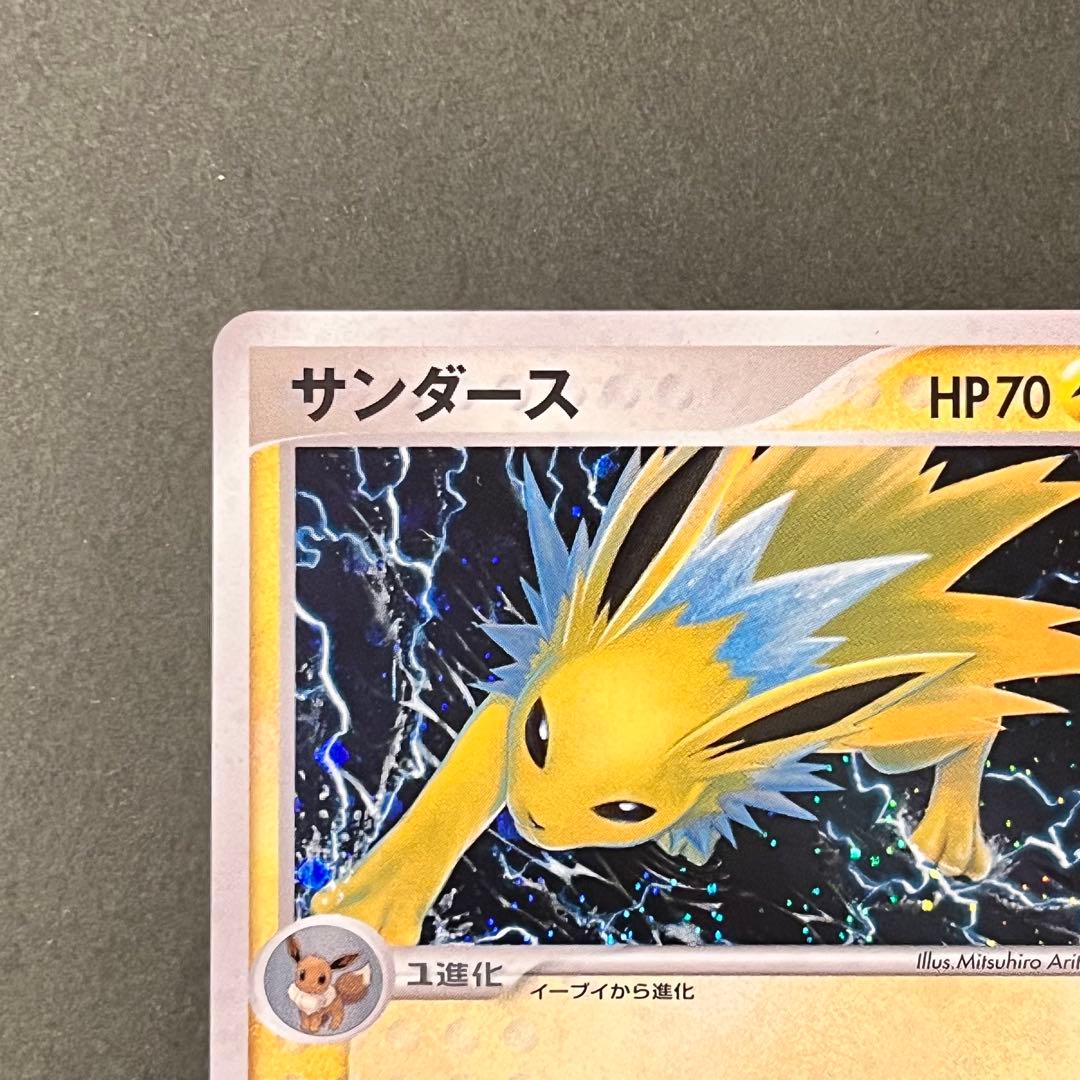 【 Satsuki.O様 】2枚セット グレイシア サンダース