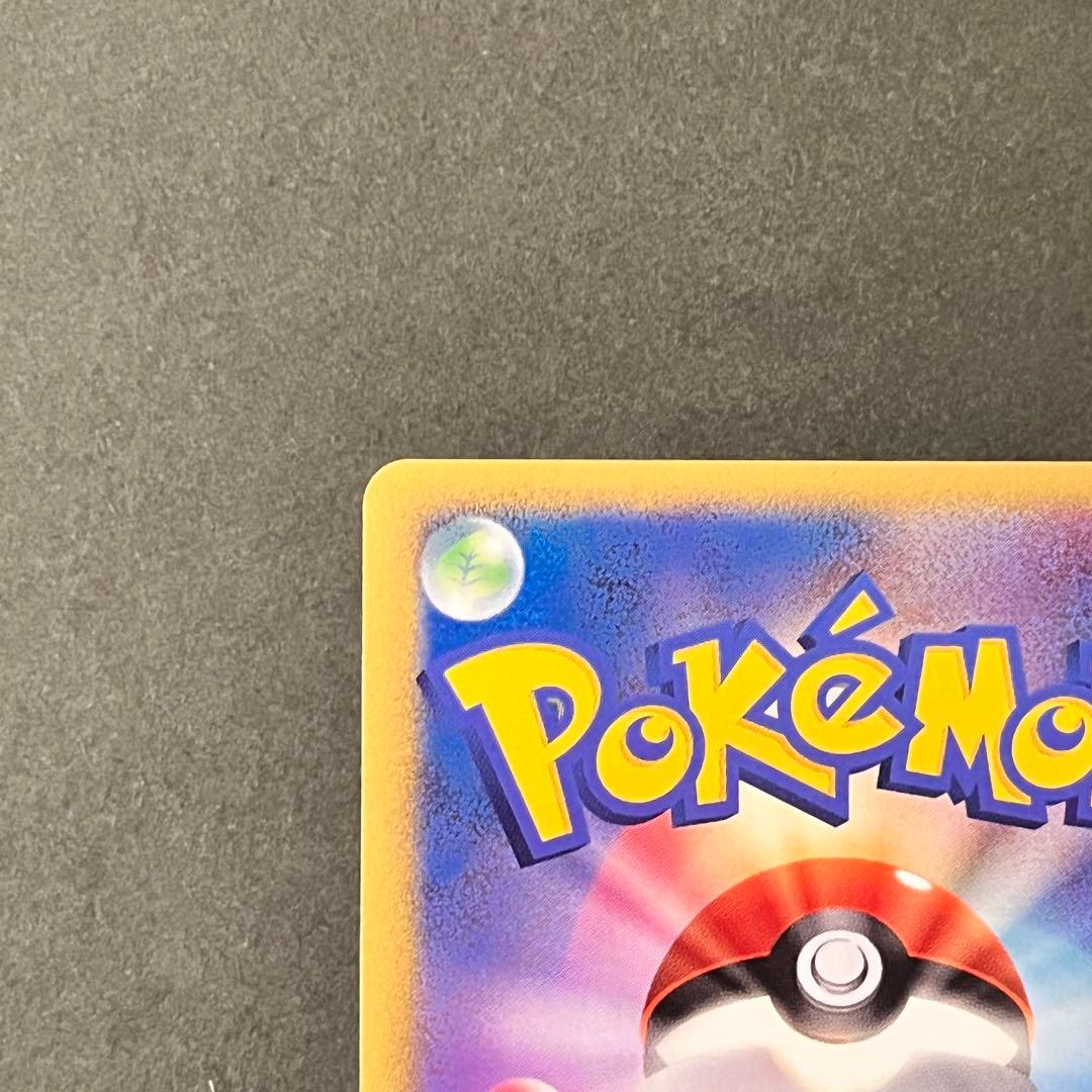 【 Satsuki.O様 】2枚セット グレイシア サンダース