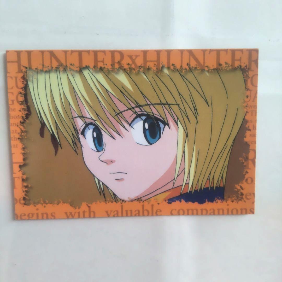 HUNTER×HUNTER 非売品 アニメイト 購入者抽選カード 5枚セット