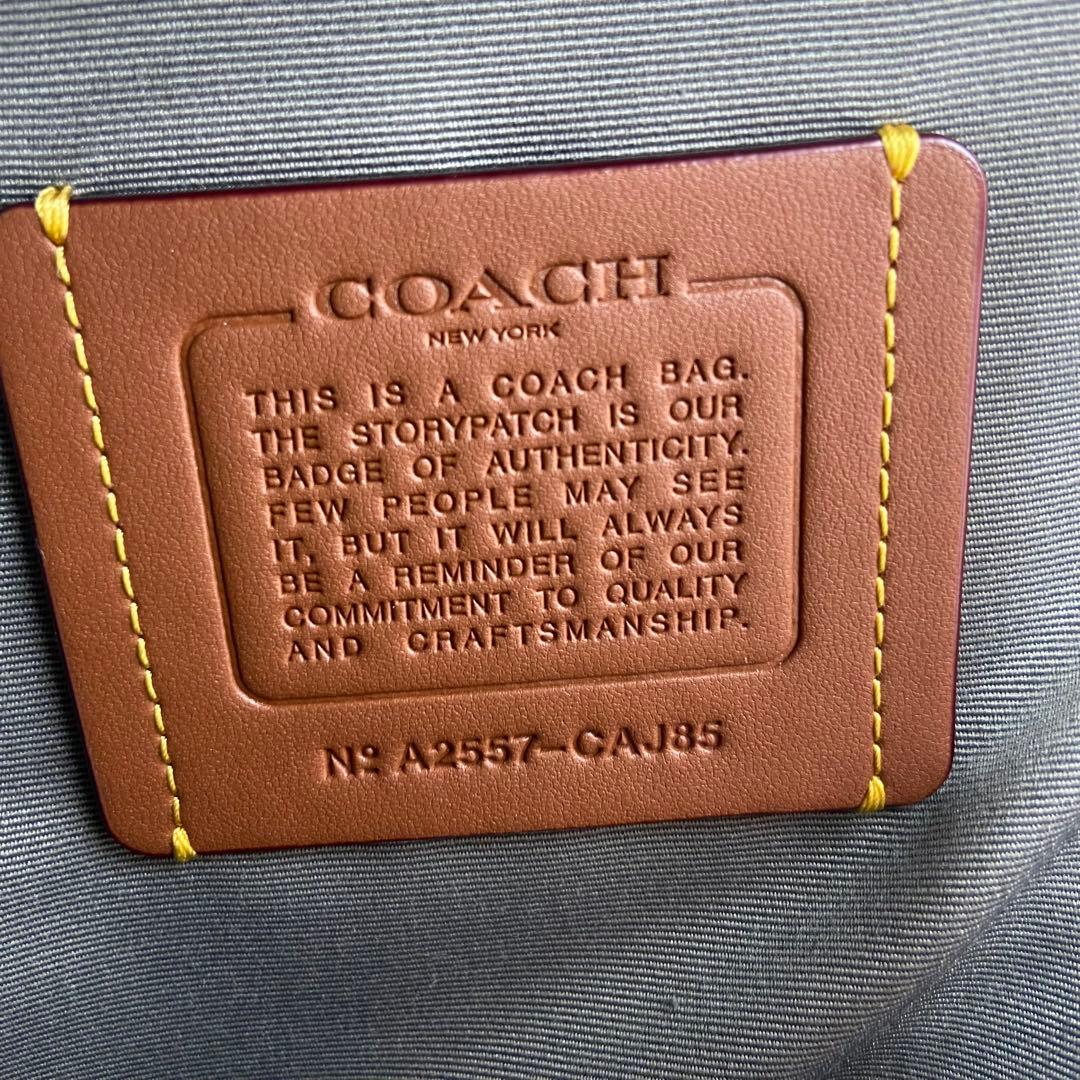 未使用級✨　コーチ ドミニク スリング パック シグネチャー レザー グレー