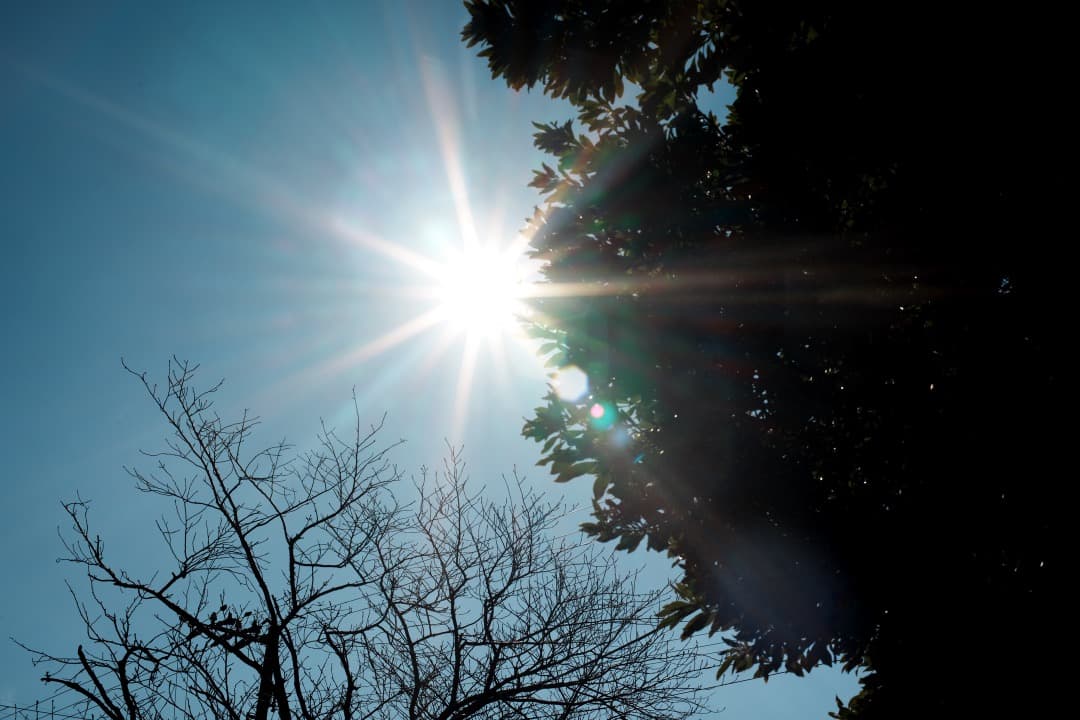 【美品】ニコン Ai-s Nikkor 50mm F1.4 大口径 995