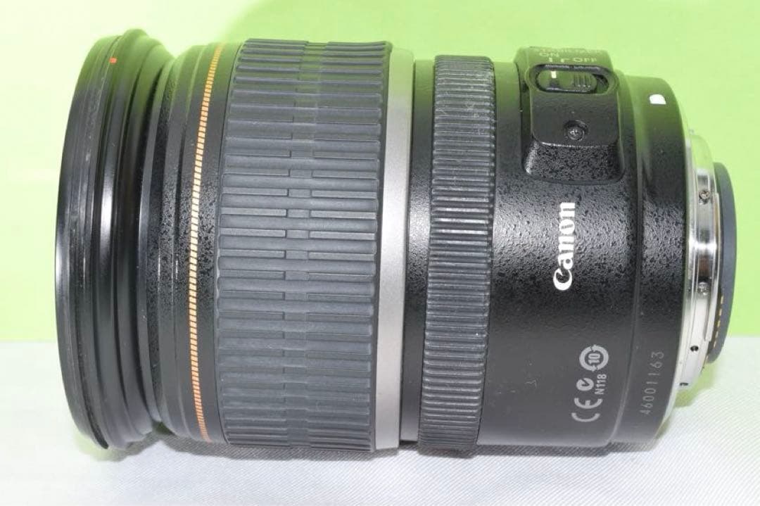 Canon 17-55mm ☆送料無料☆