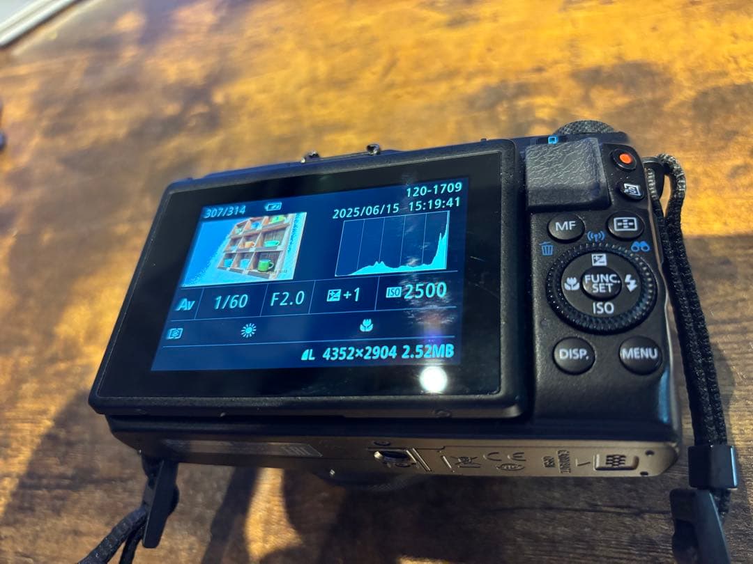 山*門様 【超美品】CANON Power Shot G1X MarkⅡ 撮影数