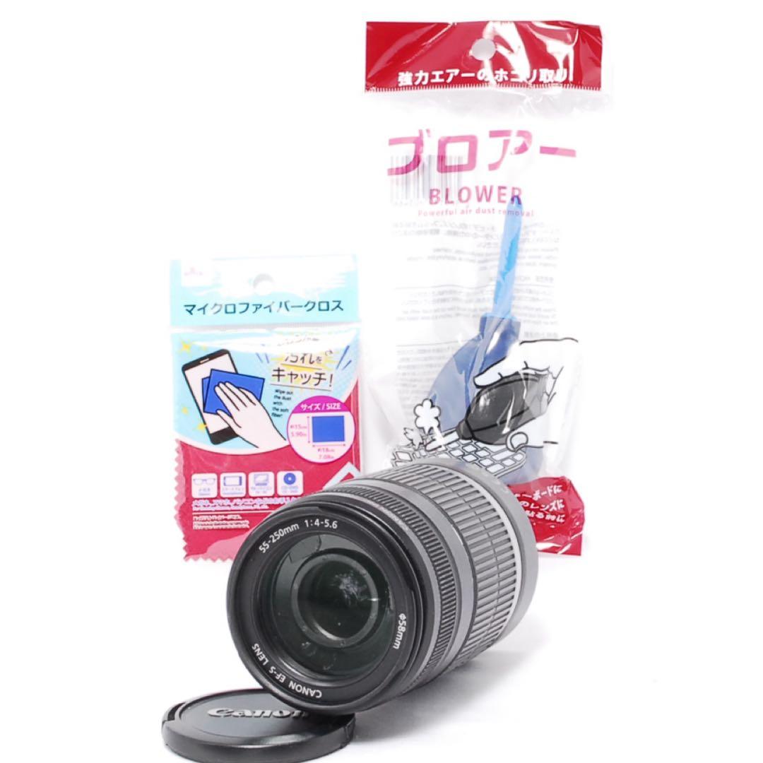 手ぶれ補正付き◆Canon EF-S 55-250mm IS◆スポーツ観戦等にも