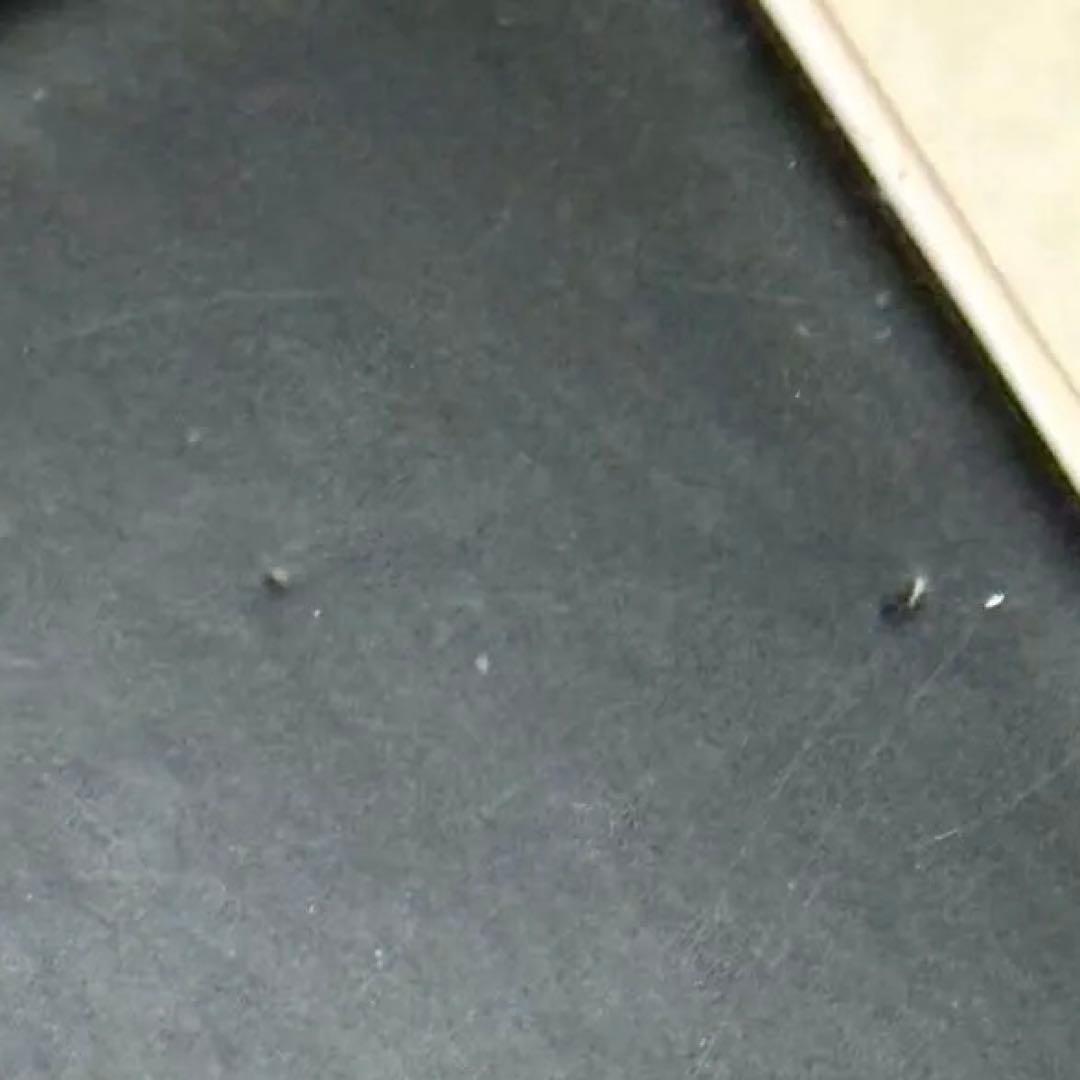 【新品未開封】僕のヴィランアカデミア　ワイヤレスイヤホン　新品未開封品　ヒロアカ