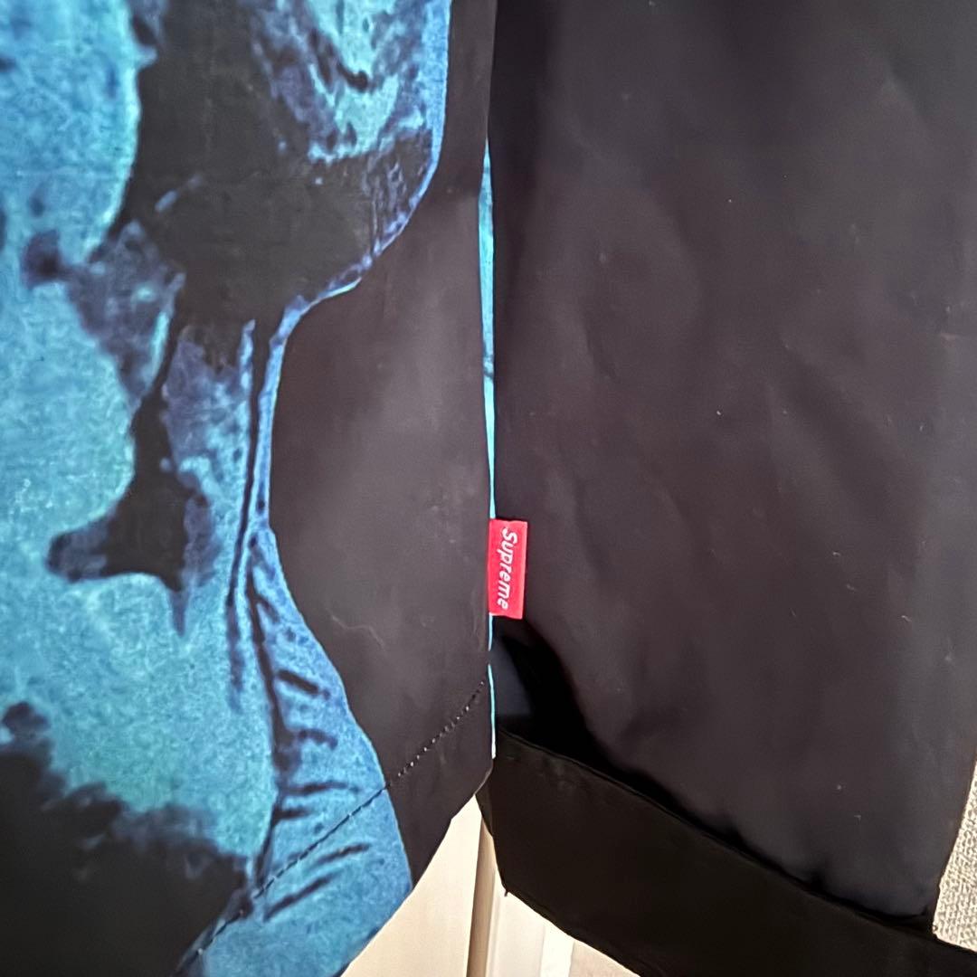 THE NORTH FACE × Supreme 自由の女神ジャケット M