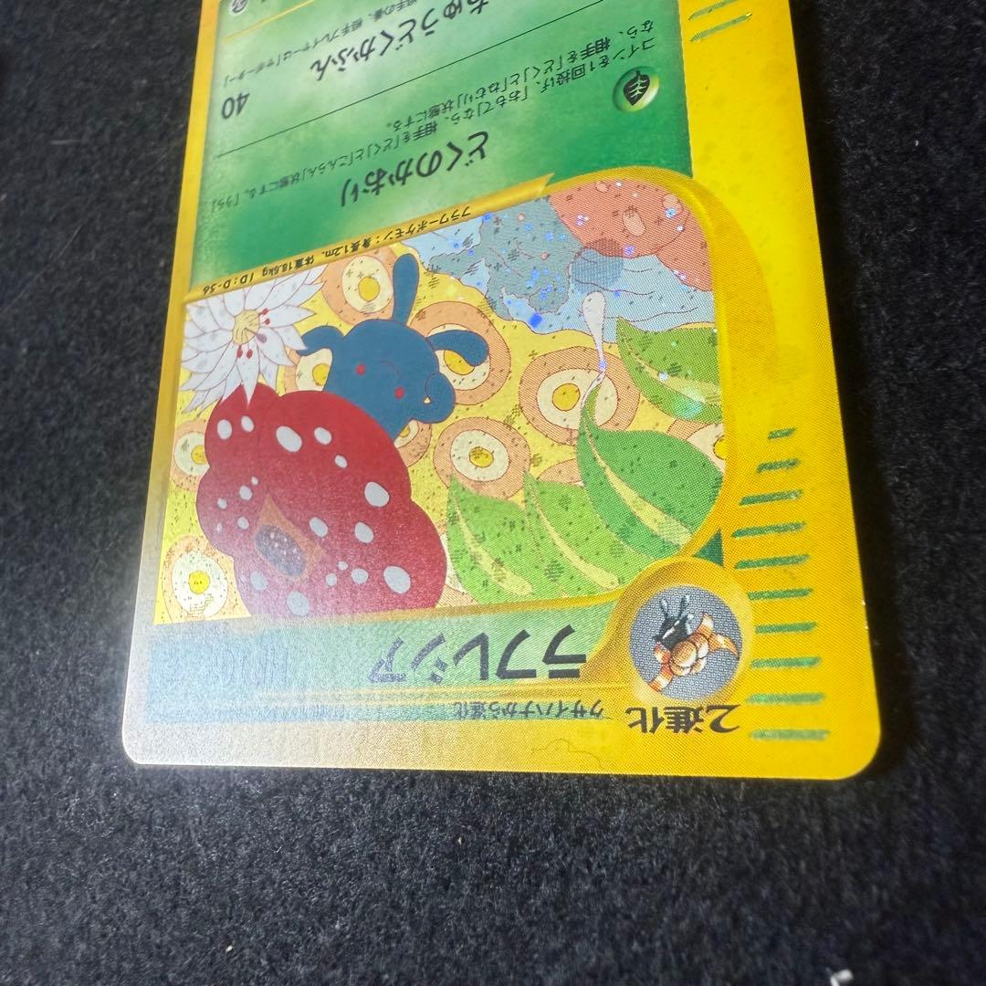 ラフレシア　キレイハナ　2枚セット　カードe